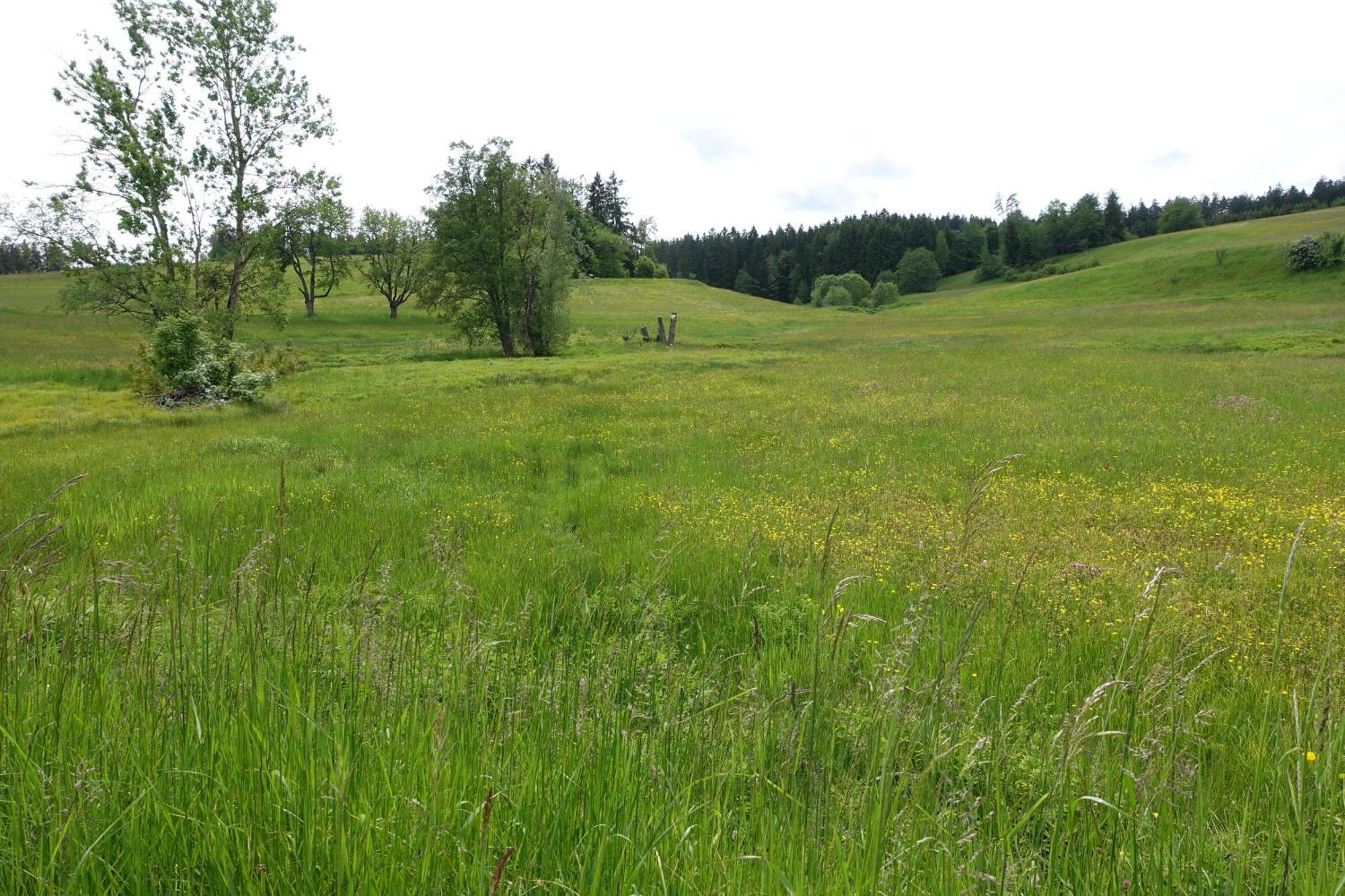 Blick In Den Garten Holzschlag Exterior photo